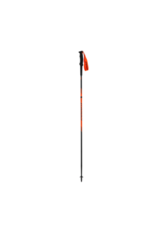 DYNAFIT Alpine Pole