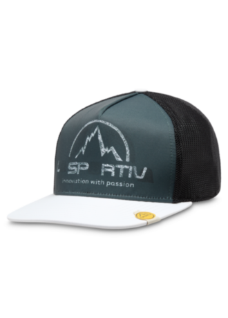 LS Trucker